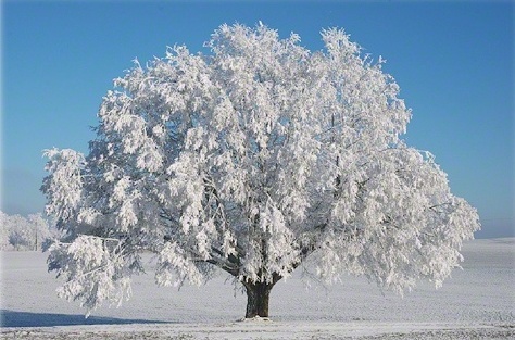 قبل و بعد پروژه